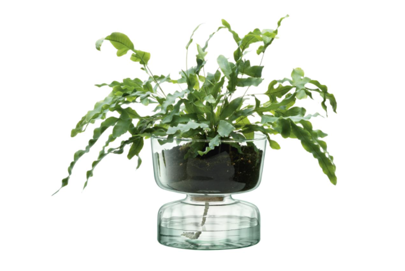 16 self watering planter LSA Canopy Self Watering Planter