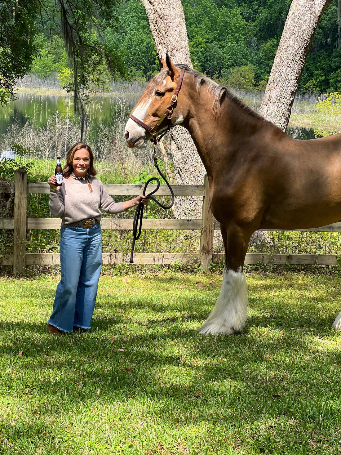 Reflections & Resolutions