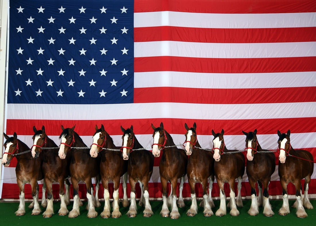 Memorial Day: Remember & Honor
