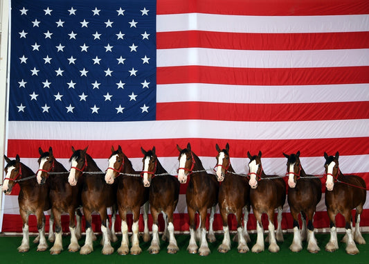 Memorial Day: Remember & Honor