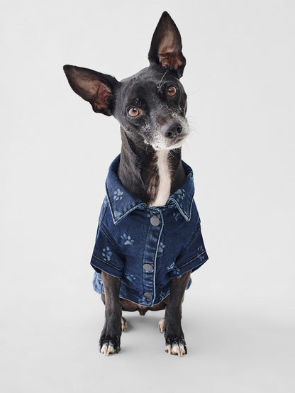 Fido Jacket