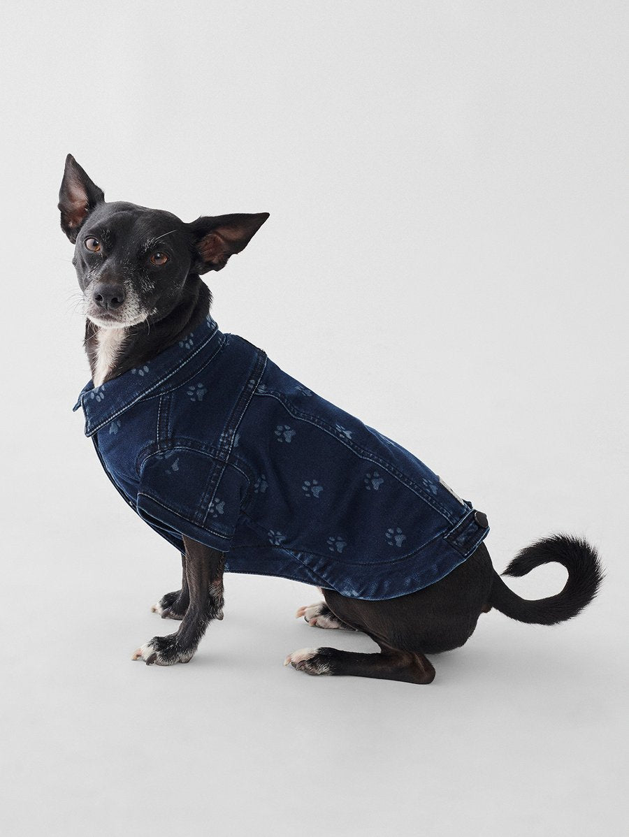 Fido Jacket