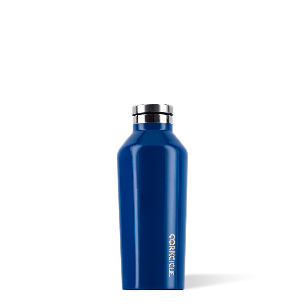 Corkcicle Canteen