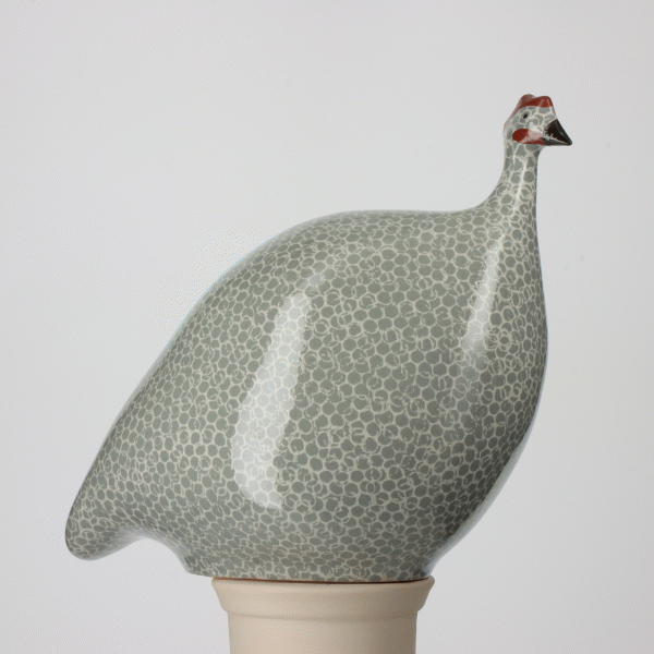 Guinea Fowl Polar Blue Spotted White