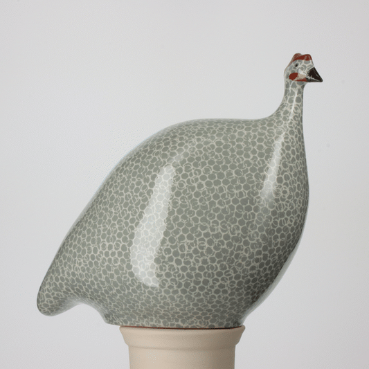 Guinea Fowl Polar Blue Spotted White