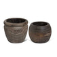 Paulowinia Wood Pots