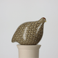 Quail Grey Spotted Black