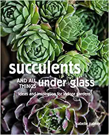 Succulents and All things Under Glass: Ideas and inspiration for indoor gardens