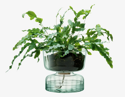 12 self watering planter LSA Canopy Self Watering Planter
