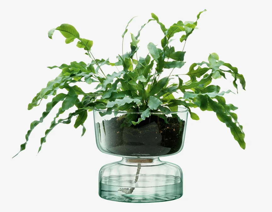 Canopy Self Watering Planter