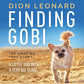 Finding Gobi - PB