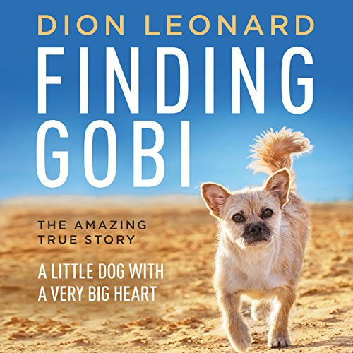 Finding Gobi - PB