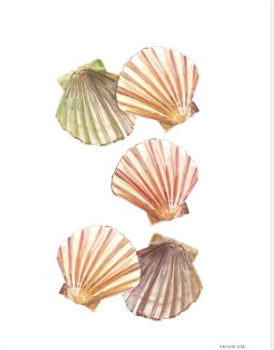 Cocktail Napkins - Set of 4