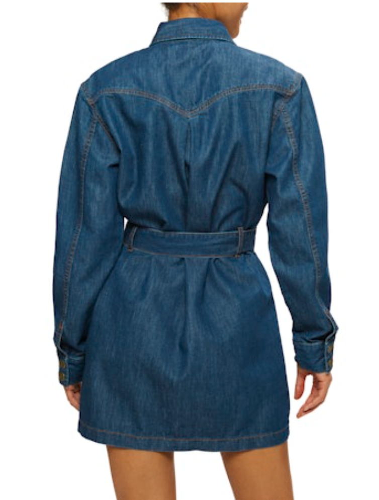 Starling Dress