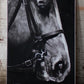 Oil Painting - Horse