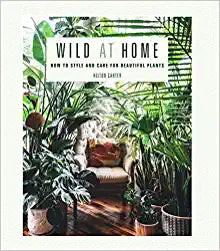 Wild at Home 
How to style and care for beautiful plants