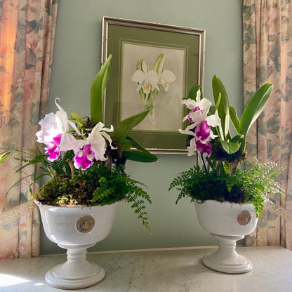 "Somerset" Kew Chalice Bowl