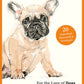 For the Love of Dogs 
20 Individual Notecards and Envelopes