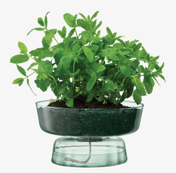 lsa international canopy self watering planter LSA Canopy Self-Watering Planter