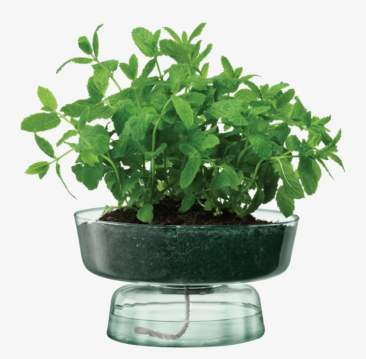 Canopy Self Watering Planter