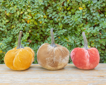 Velvet Weighted Pumpkin