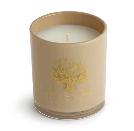 Ancient Olive Trees Candle