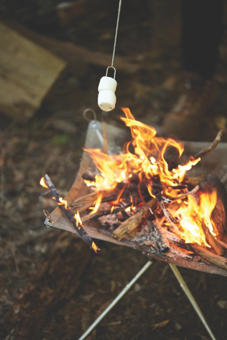 Collapsible Fire Pit