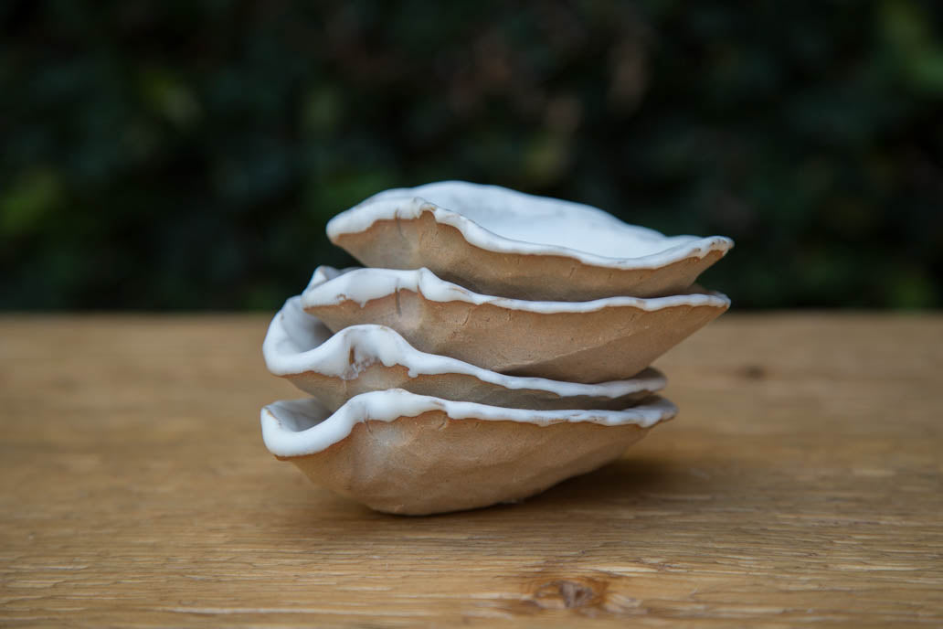 Oyster Shell Stoneware