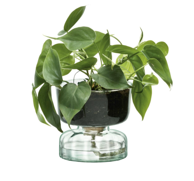 LSA Canopy Self Watering Planter