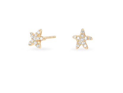 Tiny Pavé Starfish Posts - Y14