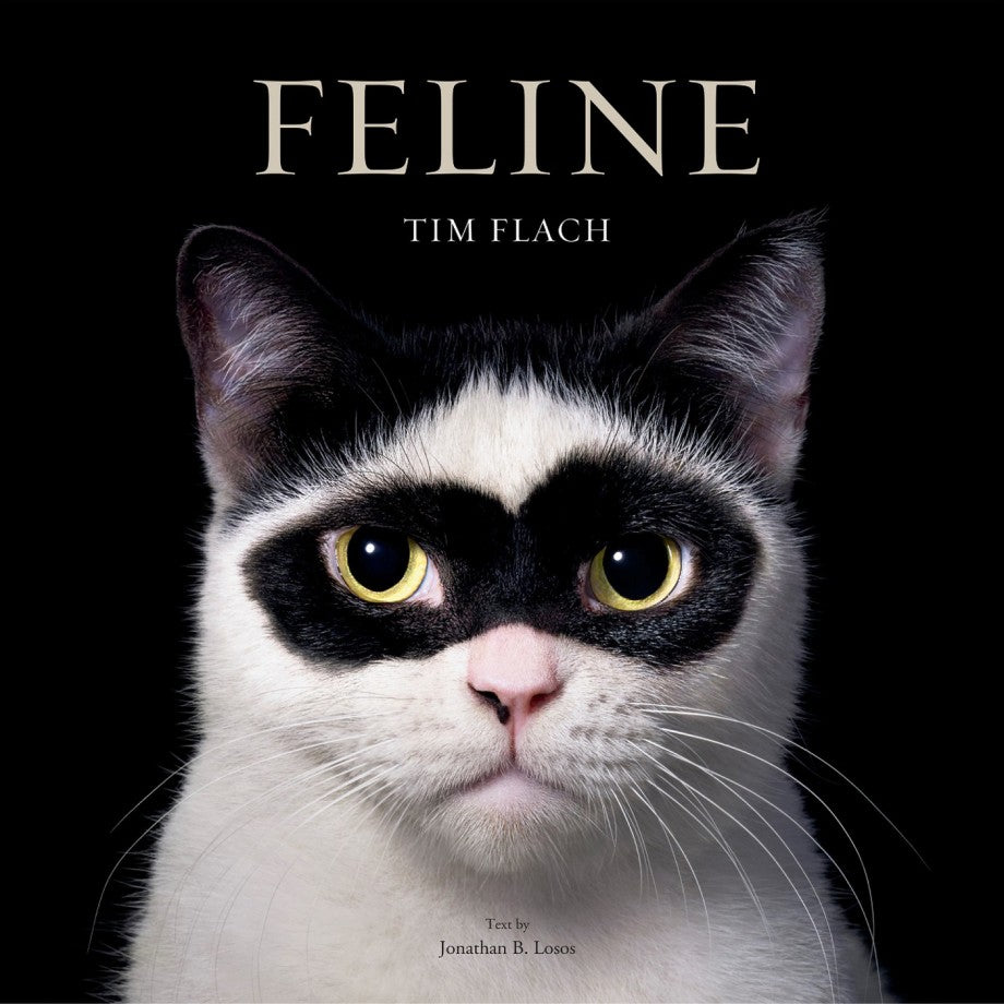 Feline Photographs By Tim Flach