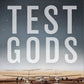 Test Gods Virgin Galactic and the Making of a Modern Astronaut