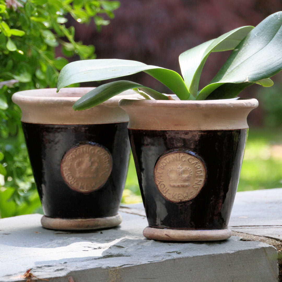 "Cambridge" Kew Cachepot Vase