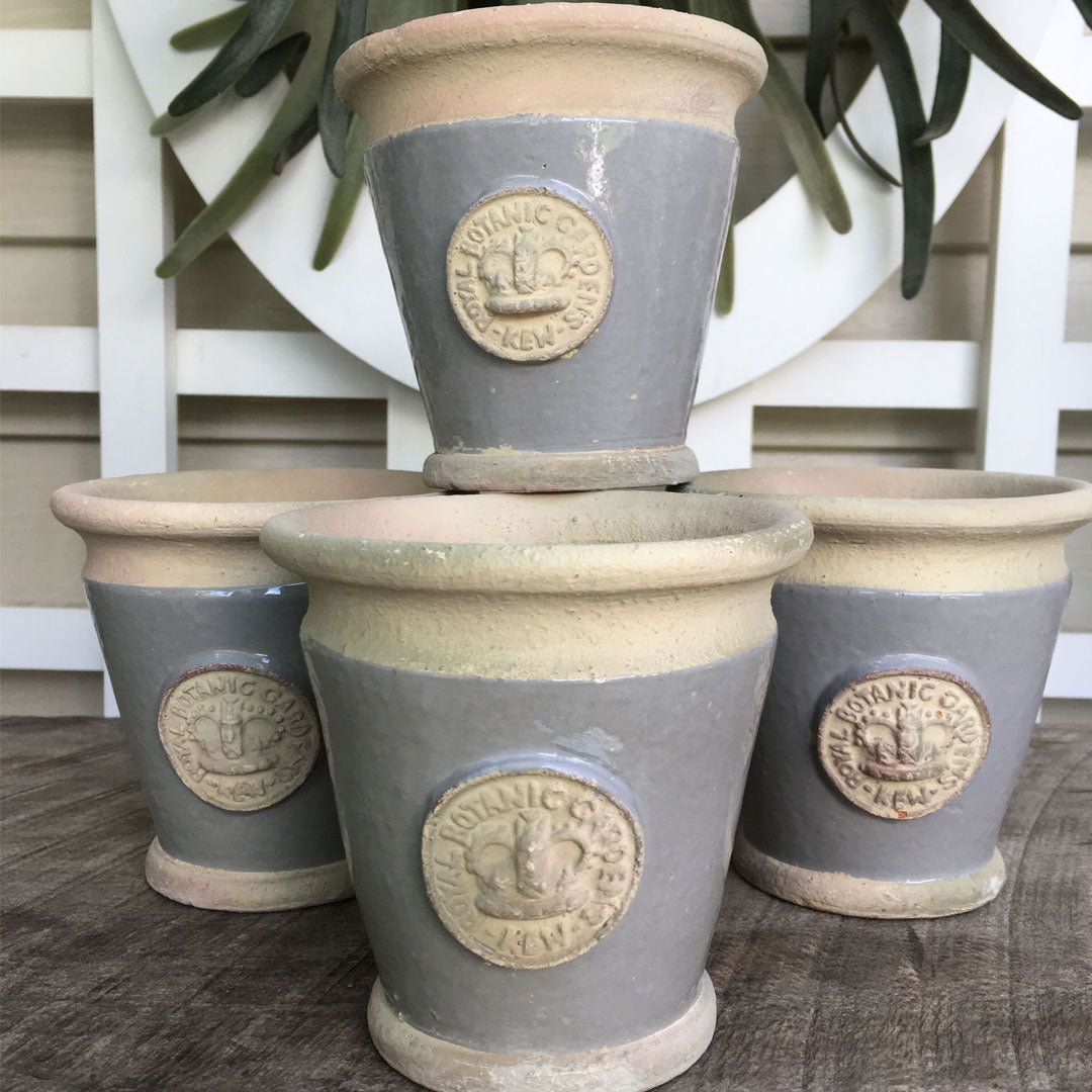 "Cambridge" Kew Cachepot Vase