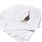Cocktail Napkins - Set of 4