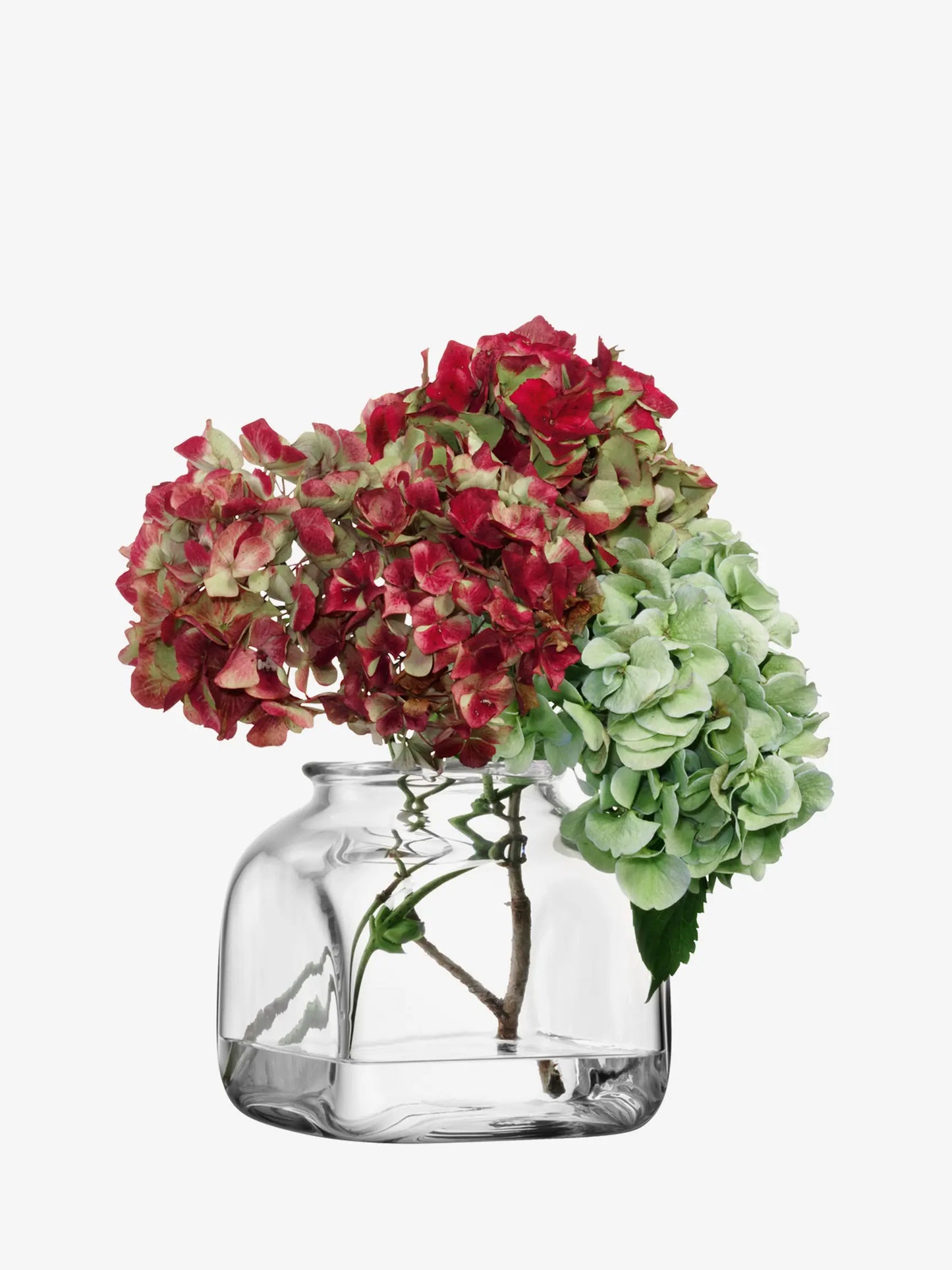 Umberto Vase - 6in