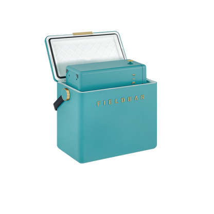 Gin Trunk