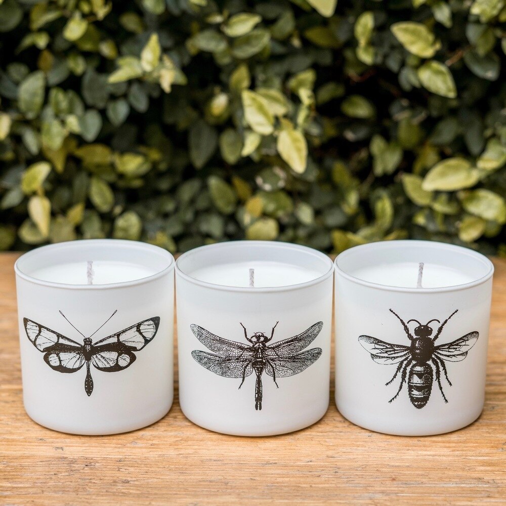 Citronella Sea Salt - Votive Set of 3