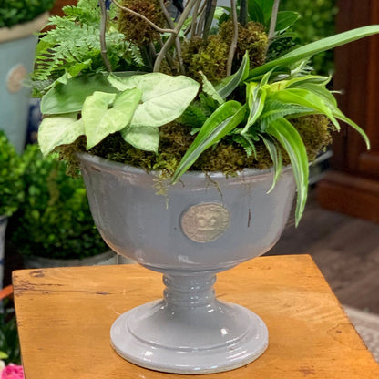 "Somerset" Kew Chalice Bowl