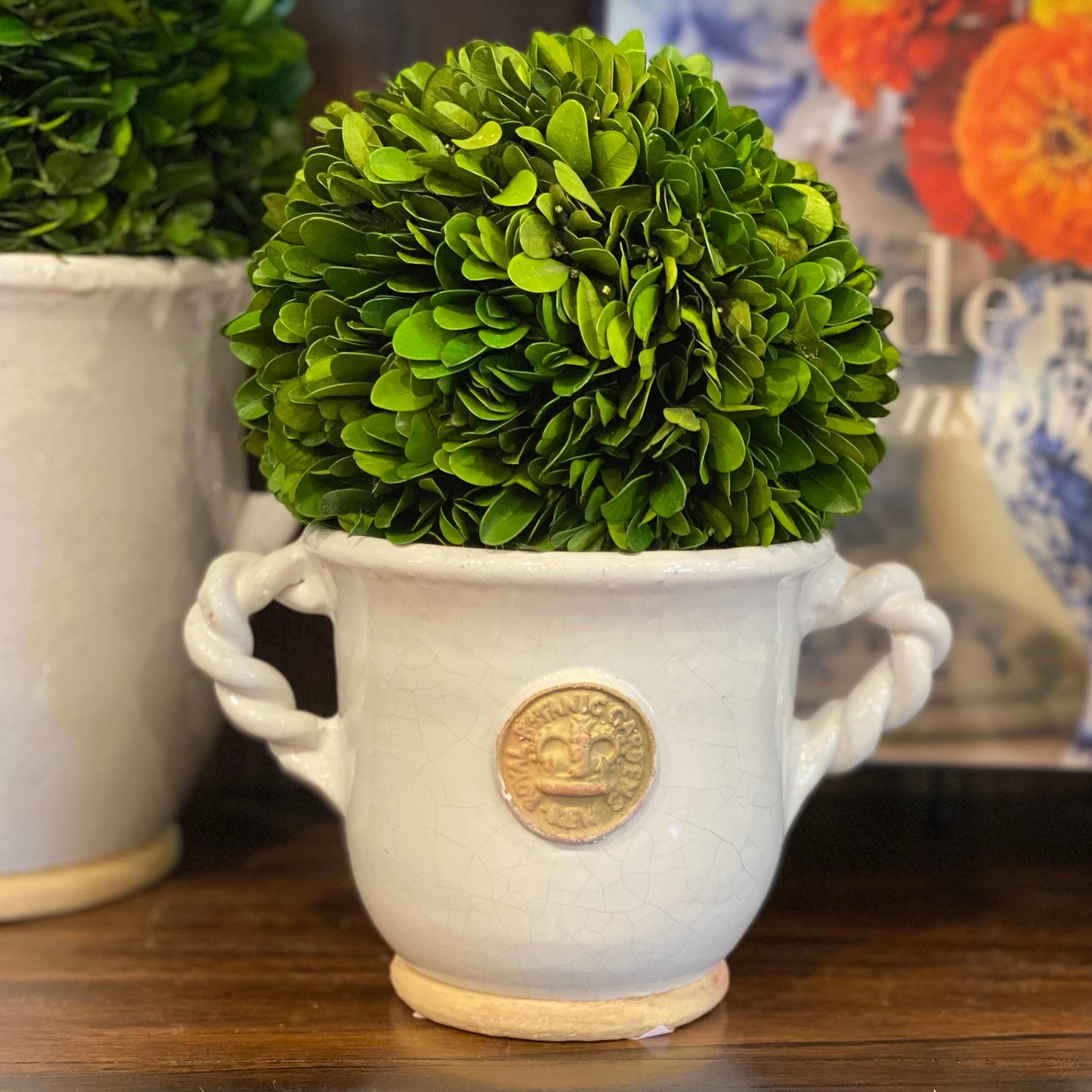 "Bedford" Kew Twisted Handled Pot