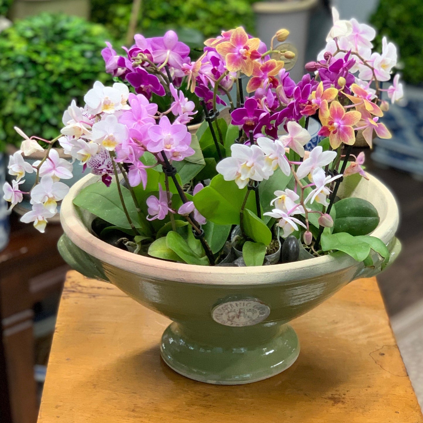 "Coventry" Kew Benner Bowl