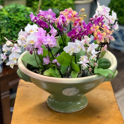 "Coventry" Kew Benner Bowl