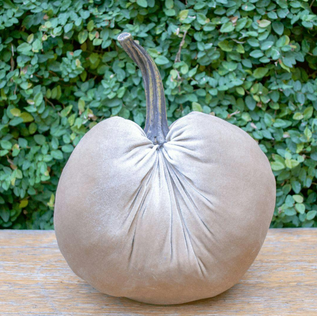 Velvet Weighted Pumpkin