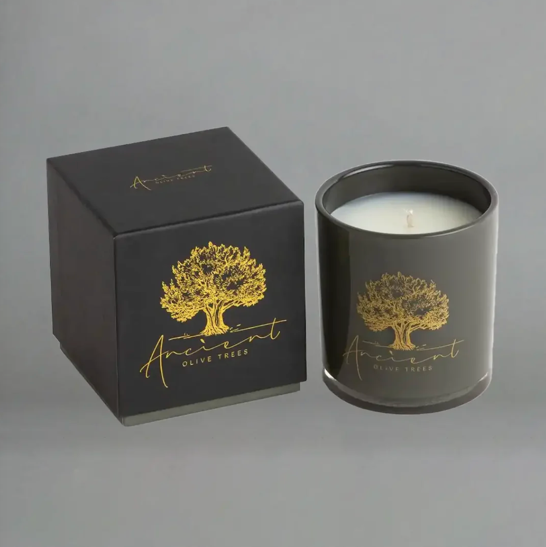 Ancient Olive Trees Candle - Cashmere