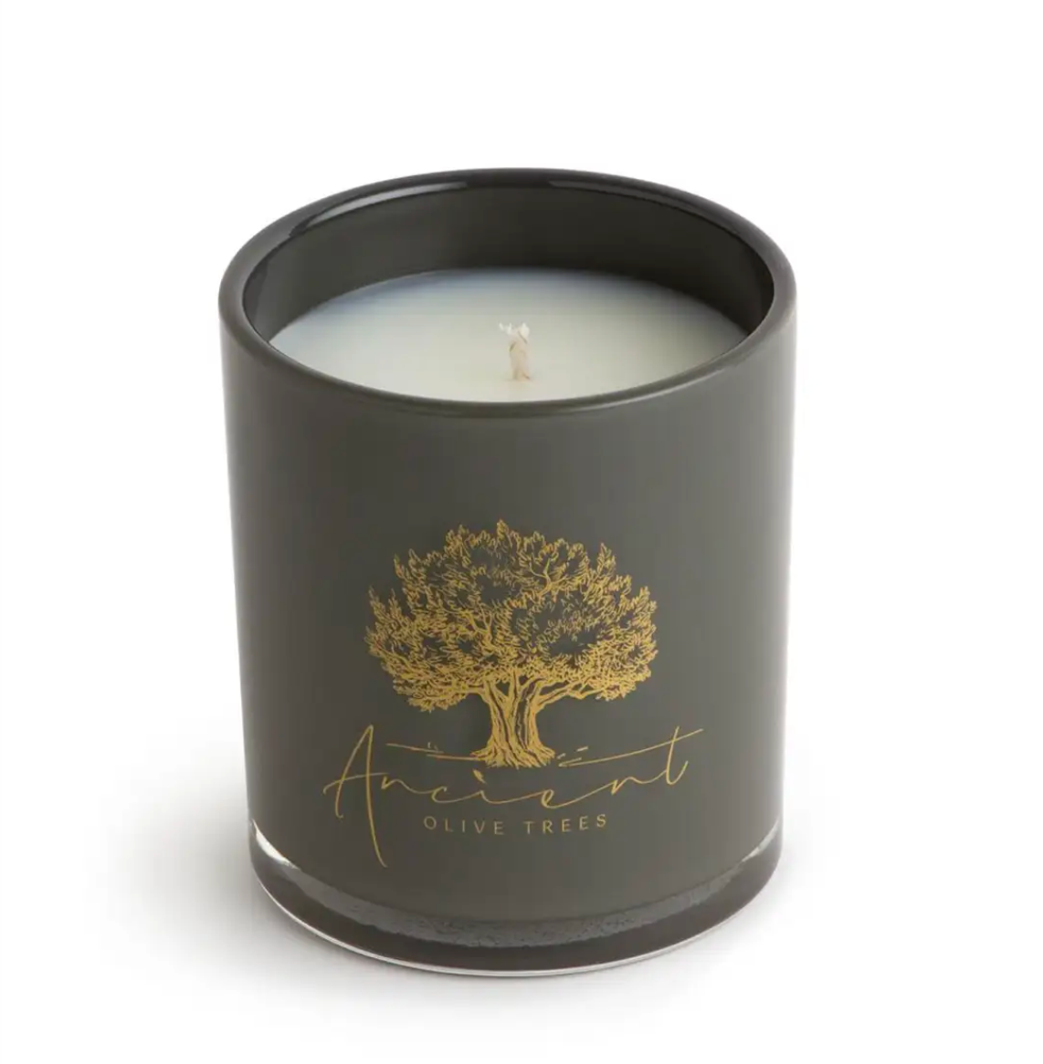 Ancient Olive Trees Candle - Cashmere