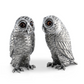 Owl Salt & Pepper Set