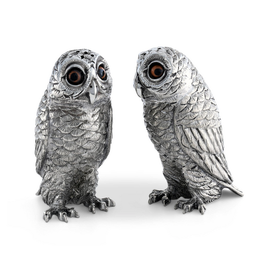 Owl Salt & Pepper Set