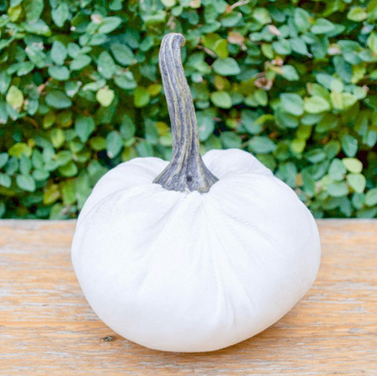 Velvet Weighted Pumpkin