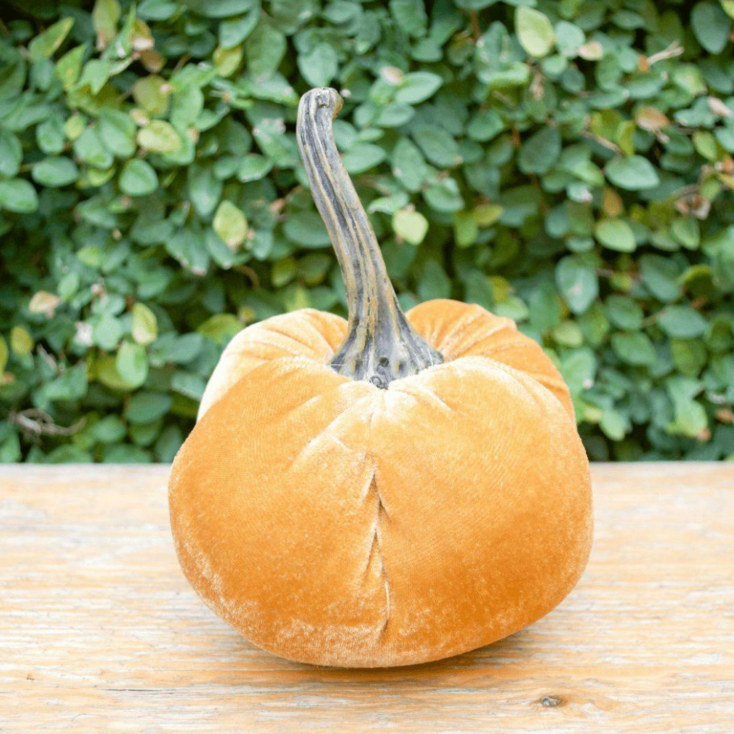 Velvet Weighted Pumpkin