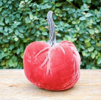 Velvet Weighted Pumpkin